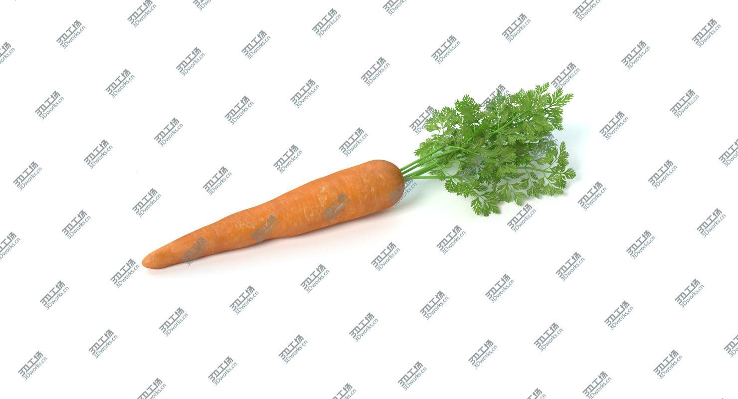 images/goods_img/2021040235/Carrot 2/3.jpg
